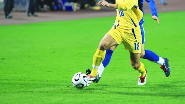 Tổng quan mùa giải V-League 2024/2025